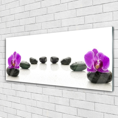 Quadro in vetro Fiori Orchidee Ciottoli