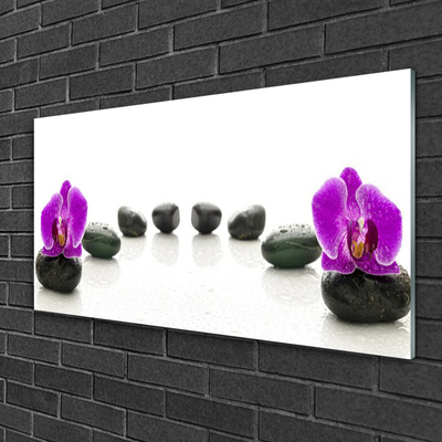 Quadro in vetro Fiori Orchidee Ciottoli