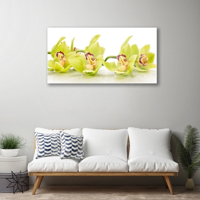 Quadro su vetro Fiori Pianta Natura