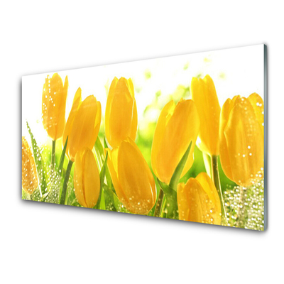 Quadro vetro Tulipani Fiori Pianta