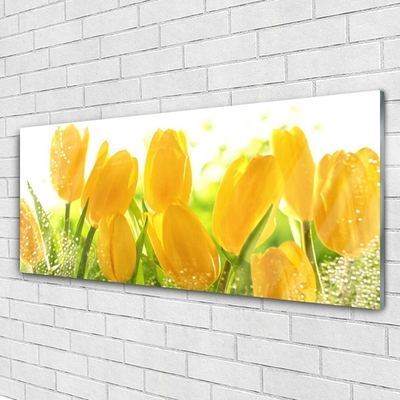 Quadro vetro Tulipani Fiori Pianta