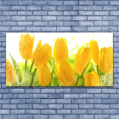 Quadro vetro Tulipani Fiori Pianta