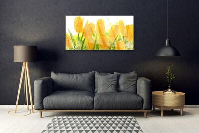 Quadro vetro Tulipani Fiori Pianta