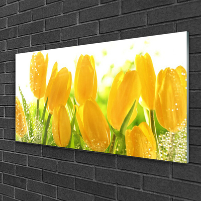 Quadro vetro Tulipani Fiori Pianta