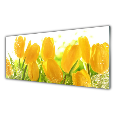 Quadro vetro Tulipani Fiori Pianta
