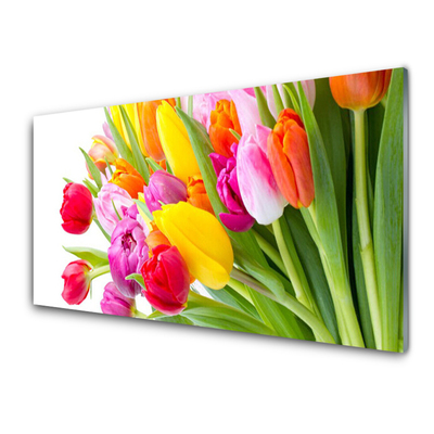 Quadro in vetro Tulipani Fiori Pianta