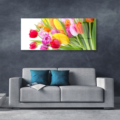 Quadro in vetro Tulipani Fiori Pianta