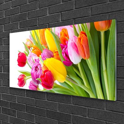 Quadro in vetro Tulipani Fiori Pianta