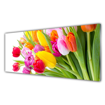 Quadro in vetro Tulipani Fiori Pianta