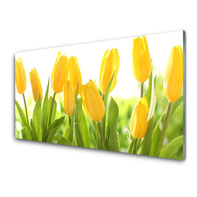 Quadro di vetro Tulipani Fiori Pianta