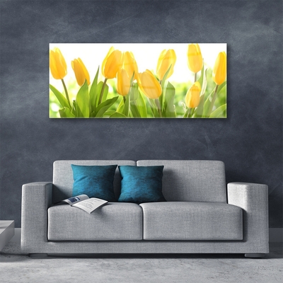 Quadro di vetro Tulipani Fiori Pianta