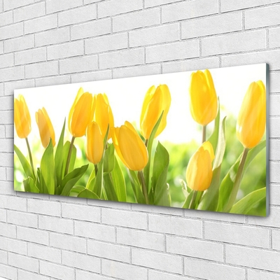 Quadro di vetro Tulipani Fiori Pianta