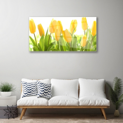 Quadro di vetro Tulipani Fiori Pianta