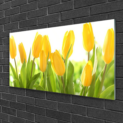 Quadro di vetro Tulipani Fiori Pianta