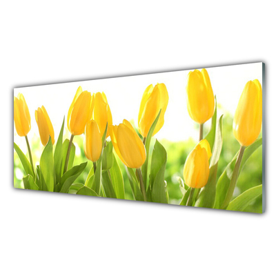 Quadro di vetro Tulipani Fiori Pianta