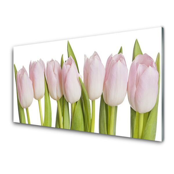 Quadro in vetro Tulipani Fiori Pianta