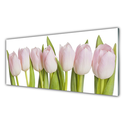 Quadro in vetro Tulipani Fiori Pianta