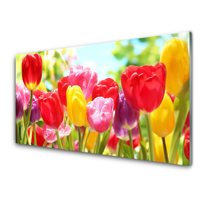 Quadro vetro Tulipani Fiori Pianta