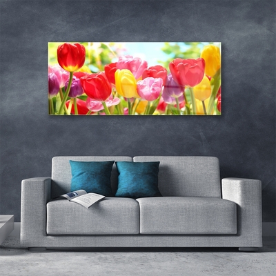 Quadro vetro Tulipani Fiori Pianta