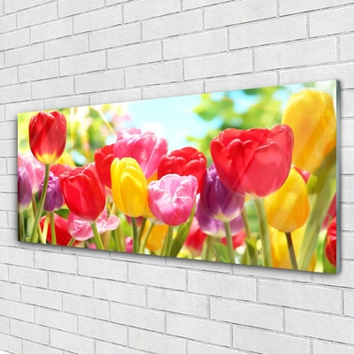 Quadro vetro Tulipani Fiori Pianta