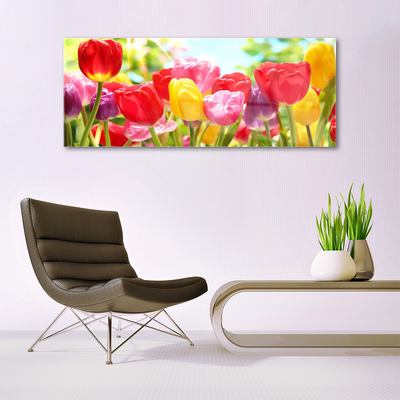 Quadro vetro Tulipani Fiori Pianta