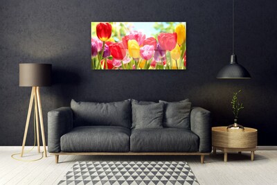 Quadro vetro Tulipani Fiori Pianta