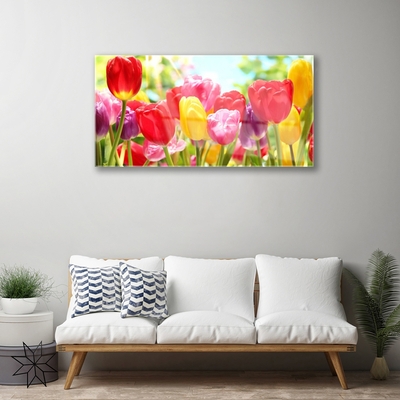 Quadro vetro Tulipani Fiori Pianta