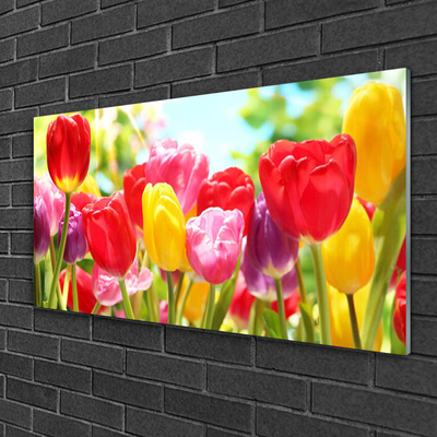 Quadro vetro Tulipani Fiori Pianta