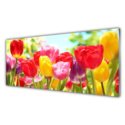 Quadro vetro Tulipani Fiori Pianta