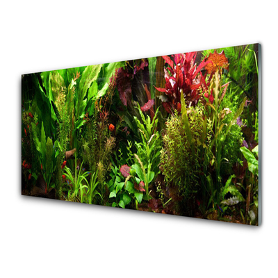 Quadro vetro Pianta Fiori Natura