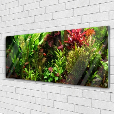 Quadro vetro Pianta Fiori Natura