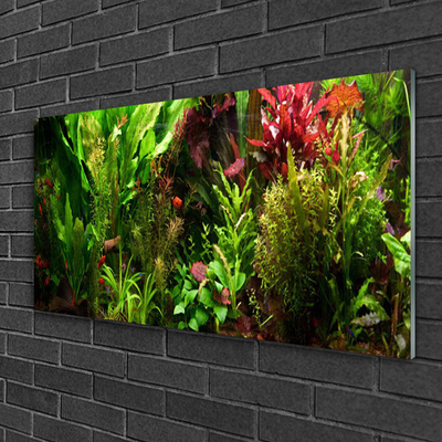 Quadro vetro Pianta Fiori Natura