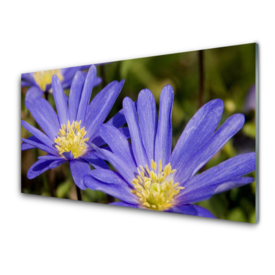 Quadro su vetro Fiori Pianta naturale