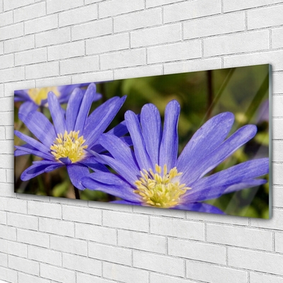 Quadro su vetro Fiori Pianta naturale