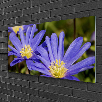 Quadro su vetro Fiori Pianta naturale