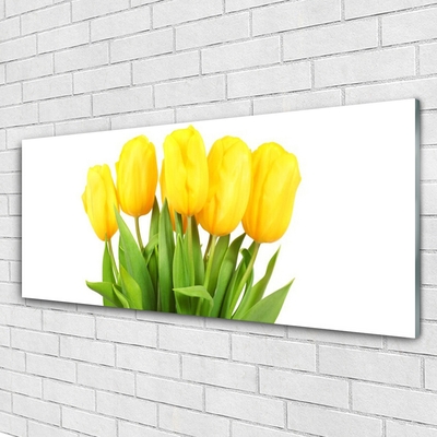 Quadro in vetro Tulipani Fiori Pianta