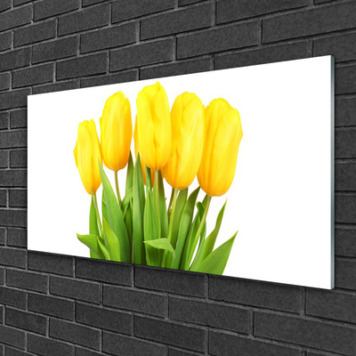 Quadro in vetro Tulipani Fiori Pianta