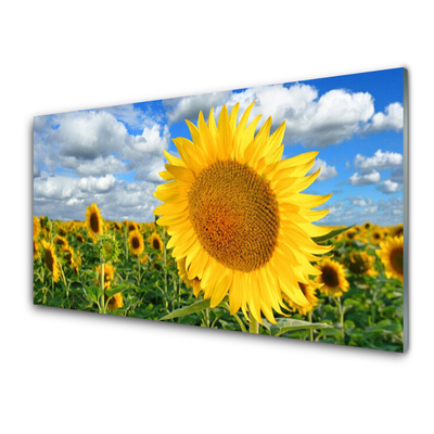 Quadro in vetro Pianta di girasole