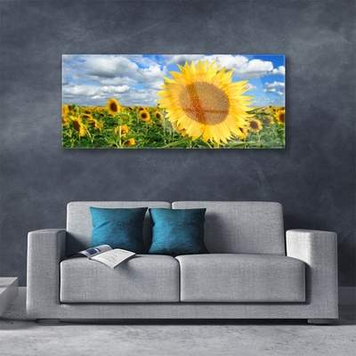 Quadro in vetro Pianta di girasole