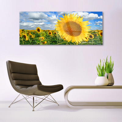 Quadro in vetro Pianta di girasole