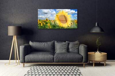 Quadro in vetro Pianta di girasole