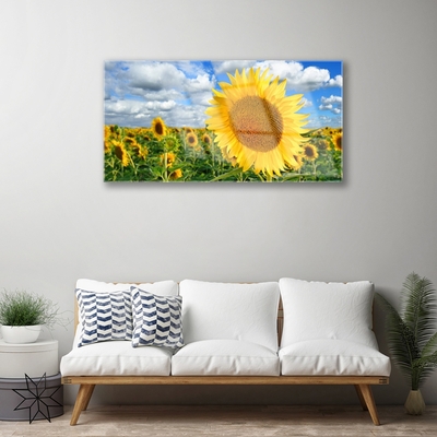 Quadro in vetro Pianta di girasole