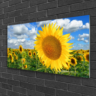 Quadro in vetro Pianta di girasole