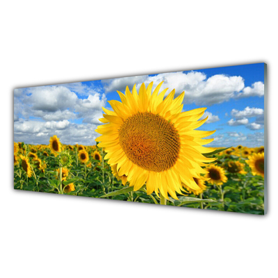 Quadro in vetro Pianta di girasole