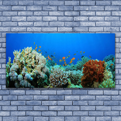 Quadro in vetro Natura della barriera corallina