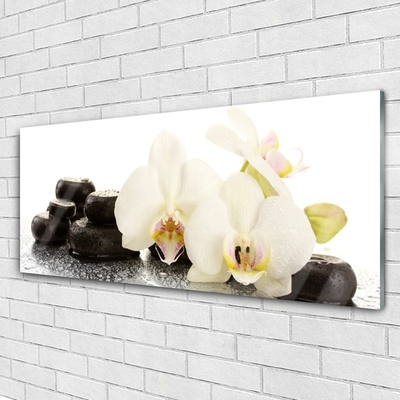 Quadro in vetro Fiore di orchidea bianco