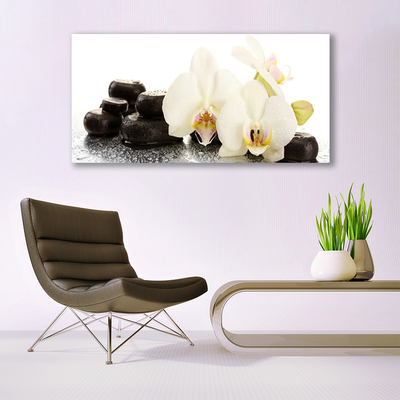 Quadro in vetro Fiore di orchidea bianco