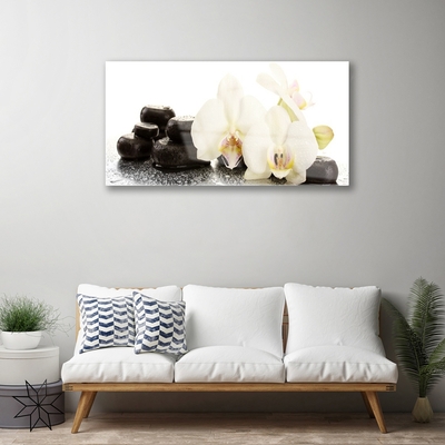 Quadro in vetro Fiore di orchidea bianco