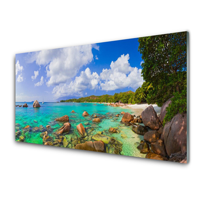 Quadro di vetro Paesaggio spiaggia mare