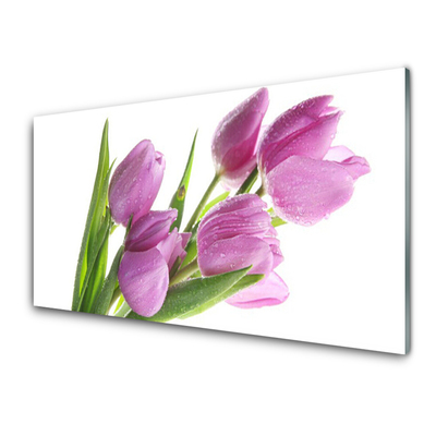 Quadro vetro Tulipani Fiori Pianta